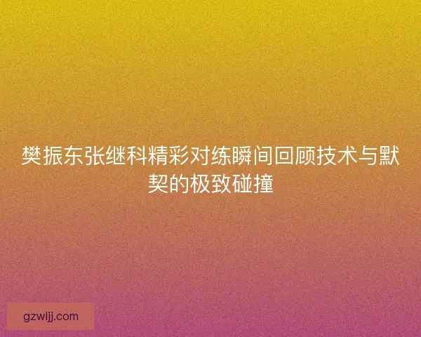 樊振东张继科精彩对练瞬间回顾技术与默契的极致碰撞