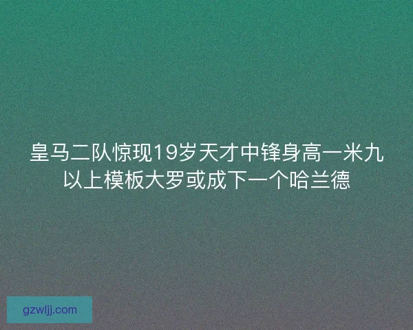 皇马二队惊现19岁天才中锋身高一米九以上模板大罗或成下一个哈兰德